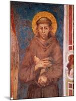 St. Francis (Detail)-Cimabue-Mounted Giclee Print