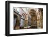 St. Francis of Assisi Church, UNESCO World Heritage Site, Old Goa, Goa, India, Asia-Yadid Levy-Framed Photographic Print