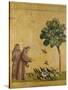 St. Francis of Assisi preaching to the birds. Ca. 1295-1300 (Predella, see also Image ID 19398)-null-Stretched Canvas