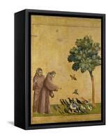 St. Francis of Assisi Preaching to the Birds-Giotto di Bondone-Framed Stretched Canvas