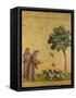 St. Francis of Assisi Preaching to the Birds-Giotto di Bondone-Framed Stretched Canvas