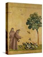 St. Francis of Assisi Preaching to the Birds-Giotto di Bondone-Stretched Canvas