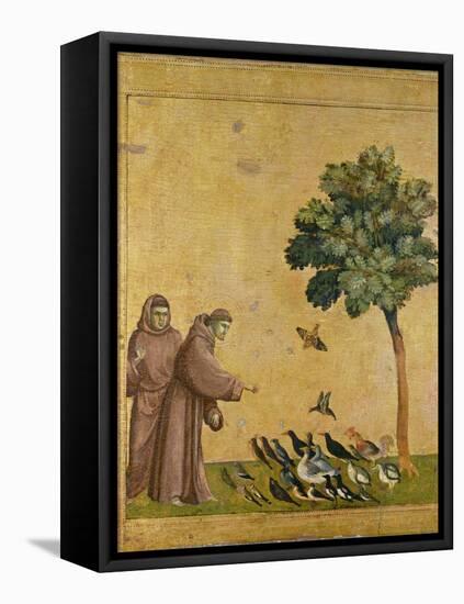 St. Francis of Assisi Preaching to the Birds-Giotto di Bondone-Framed Stretched Canvas