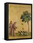 St. Francis of Assisi Preaching to the Birds-Giotto di Bondone-Framed Stretched Canvas