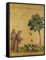 St. Francis of Assisi Preaching to the Birds-Giotto di Bondone-Framed Stretched Canvas