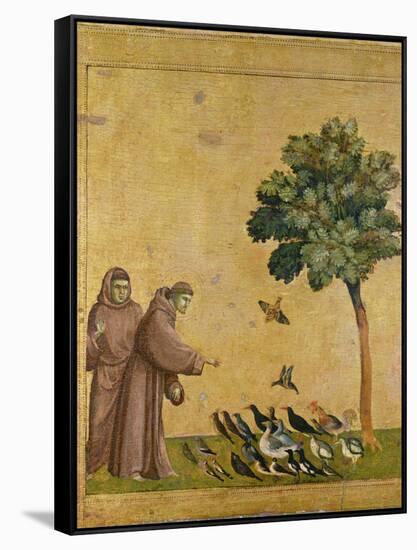 St. Francis of Assisi Preaching to the Birds-Giotto di Bondone-Framed Stretched Canvas