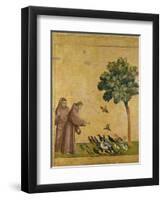 St. Francis of Assisi Preaching to the Birds-Giotto di Bondone-Framed Premium Giclee Print