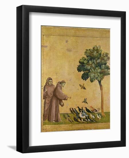 St. Francis of Assisi Preaching to the Birds-Giotto di Bondone-Framed Premium Giclee Print