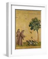 St. Francis of Assisi Preaching to the Birds-Giotto di Bondone-Framed Premium Giclee Print