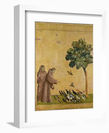 St. Francis of Assisi Preaching to the Birds-Giotto di Bondone-Framed Premium Giclee Print