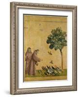 St. Francis of Assisi Preaching to the Birds-Giotto di Bondone-Framed Giclee Print