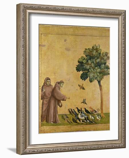 St. Francis of Assisi Preaching to the Birds-Giotto di Bondone-Framed Giclee Print