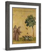 St. Francis of Assisi Preaching to the Birds-Giotto di Bondone-Framed Giclee Print