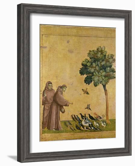 St. Francis of Assisi Preaching to the Birds-Giotto di Bondone-Framed Giclee Print