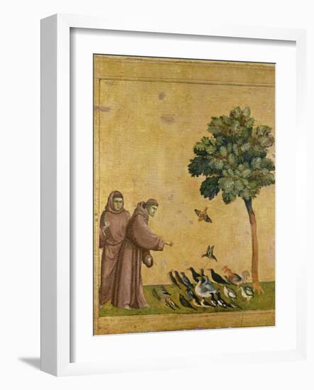 St. Francis of Assisi Preaching to the Birds-Giotto di Bondone-Framed Giclee Print