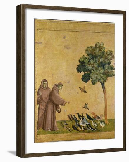 St. Francis of Assisi Preaching to the Birds-Giotto di Bondone-Framed Giclee Print