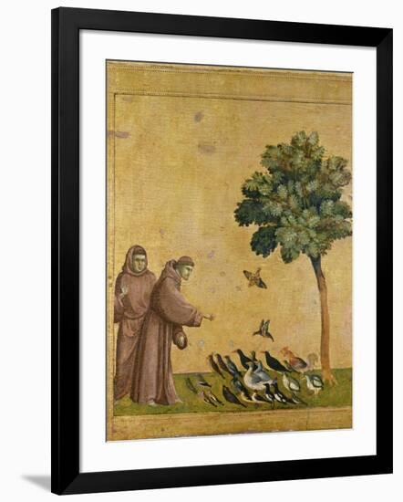 St. Francis of Assisi Preaching to the Birds-Giotto di Bondone-Framed Giclee Print