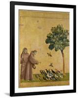 St. Francis of Assisi Preaching to the Birds-Giotto di Bondone-Framed Giclee Print