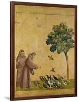 St. Francis of Assisi Preaching to the Birds-Giotto di Bondone-Framed Giclee Print