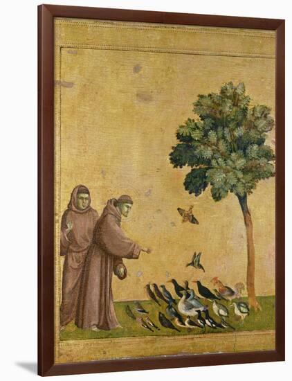 St. Francis of Assisi Preaching to the Birds-Giotto di Bondone-Framed Giclee Print