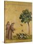 St. Francis of Assisi Preaching to the Birds-Giotto di Bondone-Stretched Canvas