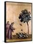 St. Francis Of Assisi-null-Framed Stretched Canvas