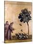 St. Francis Of Assisi-null-Stretched Canvas