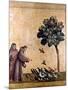 St. Francis Of Assisi-null-Mounted Giclee Print