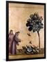 St. Francis Of Assisi-null-Framed Giclee Print