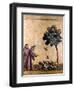 St. Francis Of Assisi-null-Framed Giclee Print