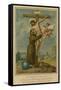 St Francis of Assisi-null-Framed Stretched Canvas