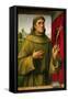 St. Francis of Assissi, c.1490-Francesco Francia-Framed Stretched Canvas