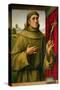St. Francis of Assissi, c.1490-Francesco Francia-Stretched Canvas