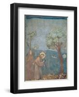 St. Francis Preaching to the Birds, 1297-99-Giotto di Bondone-Framed Giclee Print