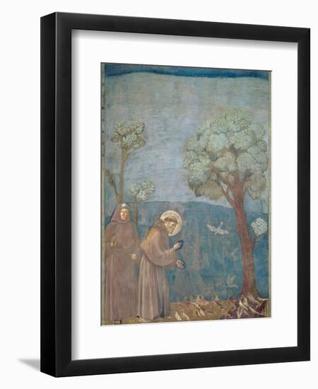 St. Francis Preaching to the Birds, 1297-99-Giotto di Bondone-Framed Giclee Print