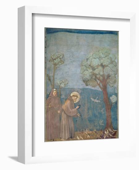 St. Francis Preaching to the Birds, 1297-99-Giotto di Bondone-Framed Giclee Print