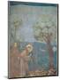 St. Francis Preaching to the Birds, 1297-99-Giotto di Bondone-Mounted Giclee Print