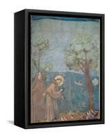 St. Francis Preaching to the Birds, 1297-99-Giotto di Bondone-Framed Stretched Canvas