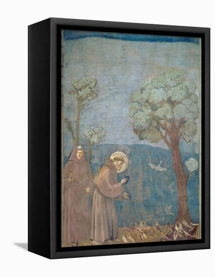 St. Francis Preaching to the Birds, 1297-99-Giotto di Bondone-Framed Stretched Canvas