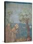 St. Francis Preaching to the Birds, 1297-99-Giotto di Bondone-Stretched Canvas