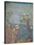 St. Francis Preaching to the Birds, 1297-99-Giotto di Bondone-Stretched Canvas