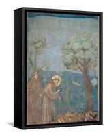 St. Francis Preaching to the Birds, 1297-99-Giotto di Bondone-Framed Stretched Canvas