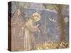 St. Francis Preaching to the Birds-Giotto-Stretched Canvas