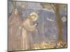 St. Francis Preaching to the Birds-Giotto-Mounted Art Print