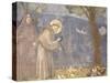 St. Francis Preaching to the Birds-Giotto-Stretched Canvas