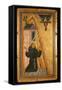St. Francis Receives the Stigmata, Mid-13th Century (Tempera on Wood)-Bonaventura Berlinghieri-Framed Stretched Canvas