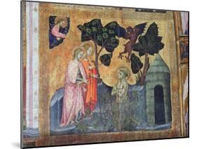 St Francis Throws Himself into the Thorny Brambles, Fresco from the Porziuncola, 1393-Ilario da Viterbo-Mounted Giclee Print