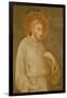 St. Francis-Simone Martini-Framed Giclee Print