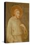 St. Francis-Simone Martini-Stretched Canvas