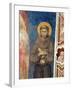 St. Francis-Cimabue-Framed Giclee Print